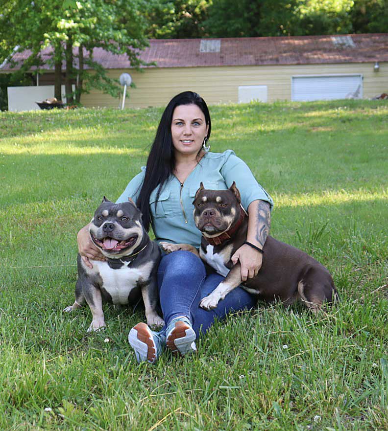 Rock Kalibur Bullys: American Bully Breeder in Alabama
