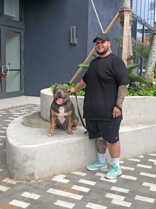 Brink Bullies: XL American Bully Breeder in South Florida