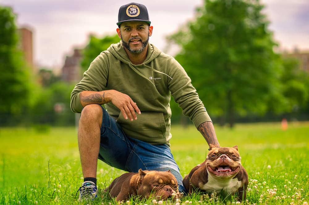 Brooklyn Bully Cartel: American Bully Breeder in Brooklyn, NY