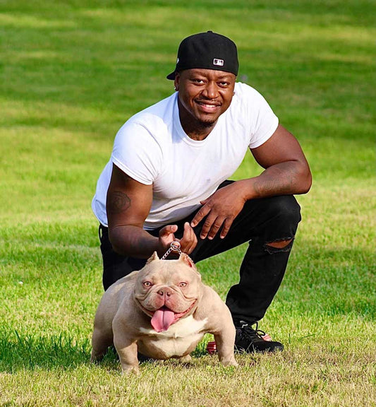 Bully Avenue and Big Screen Exotics: Exotic Bully Breeder in Detroit Michigan