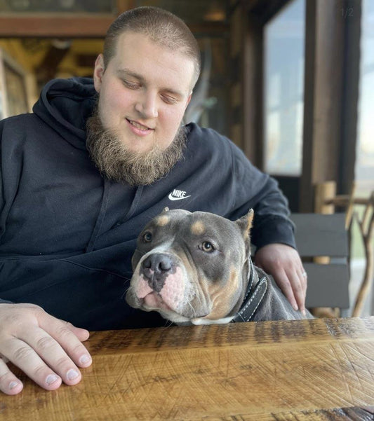 Church's Bullies: American Bully Breeder in Delaware