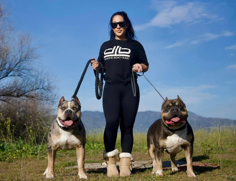 Diamond Legacy Bullies XL Bully Breeder in Southern California BGM