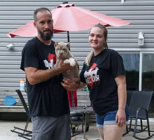 Full Flex Bullies: XL American Bully Breeder in New Jersey