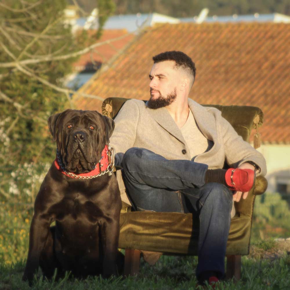 Golden House Kennel: American Bully and Cane Corso Breeder in Portugal