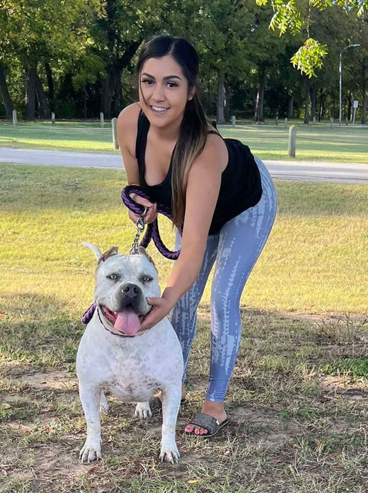 Graveyard Bullies: XL American Bully Breeder in Fort Worth, Texas