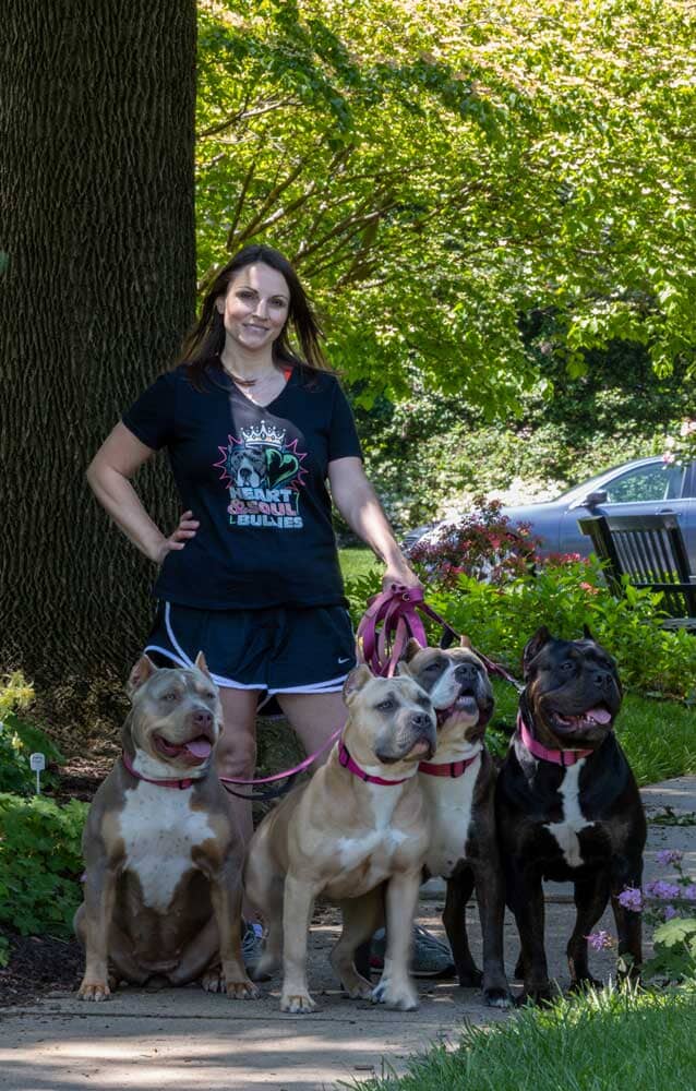 Heart & Soul Bullies: XL American Bully Breeder in Maryland