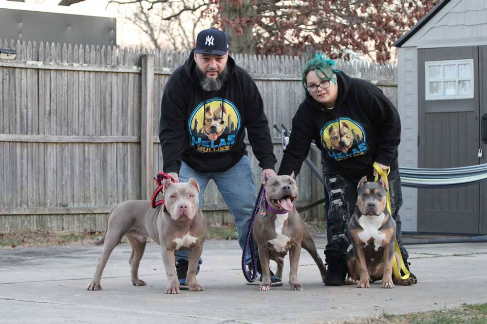 Hela's Bullies: XL American Bully Breeder in West Babylon, NY