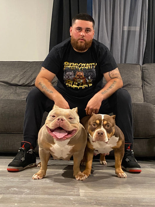 Bucks County Bullies: Extreme Pocket American Bully Breeder in New Jersey