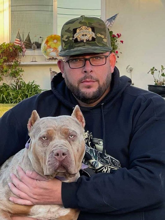 Immense Bullz: XL and XXL American Bully Breeder in California