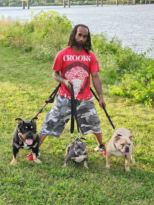 Jah Jahz Bulliez: Pocket and Micro Bully Breeder in Canada