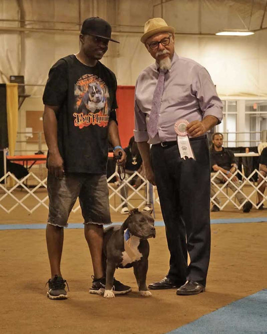 King Pope Kennels: American Bully Breeder in Maryland