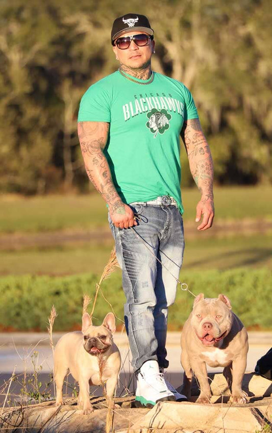 Knucklehead Bullies: Standard and Pocket American Bully Breeder in Florida