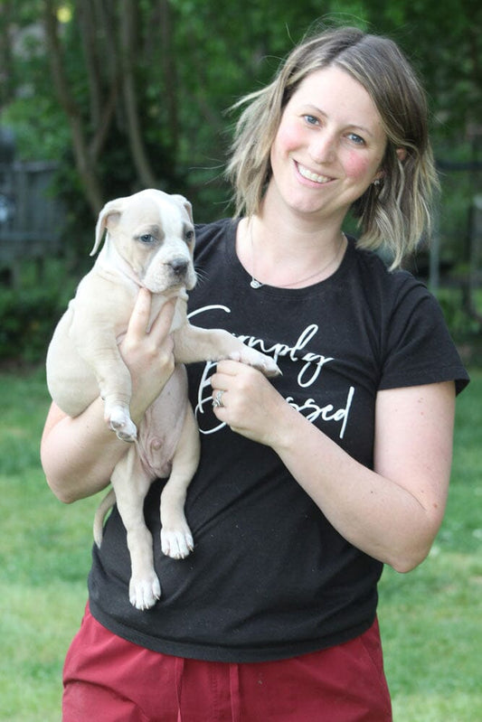 Legacy Farms Raleigh: XL American Bully Breeder in North Carolina