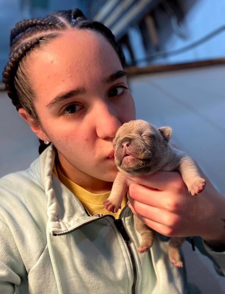Long Island Bully Squad: American Bully Breeder in Long Island, NY
