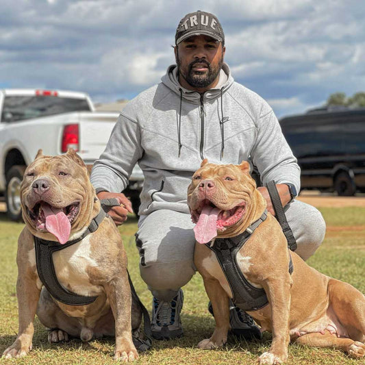 Nawfside Kennels: XL American Bully Breeder in Georgia