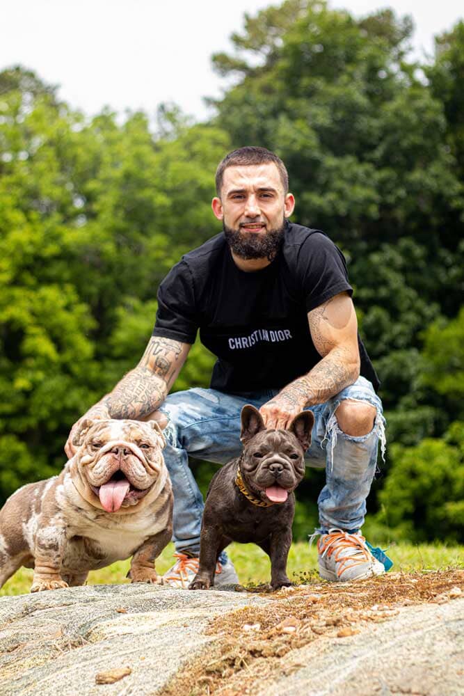 New Height's Frenchie's & Exotic Bullz LLC: Frenchie and Exotic Bully Breeder in NC