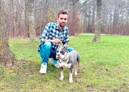 Northern Oak Bullies: Pocket American Bully Breeder in Minnesota
