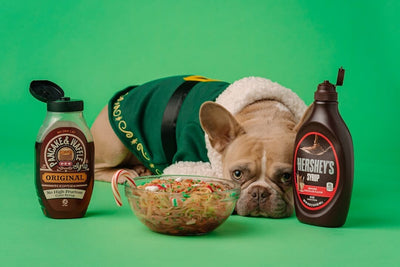 French Bulldog Dietary Needs: Secrets to Avoid Gas and Digestive Issues