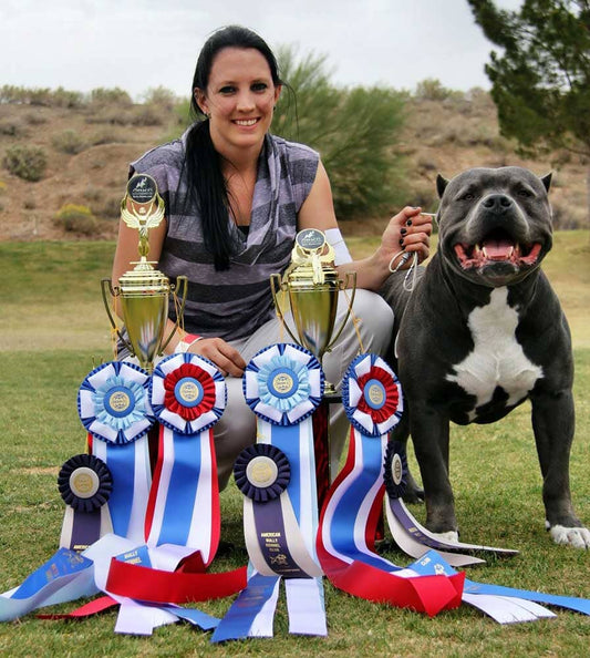 Shock-N-Aw Bullies: XL American Bully Breeder in Arizona