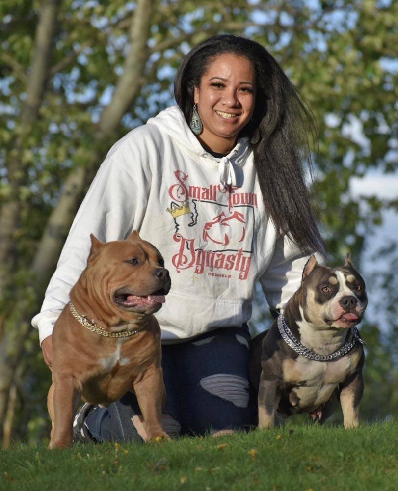 Small Town Dynasty Kennels: Pocket American Bully Breeder in Washington