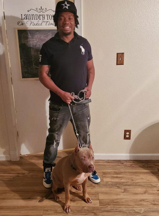 TX Powerhouse Bullies: XL American Bully Breeder in Dallas, Texas