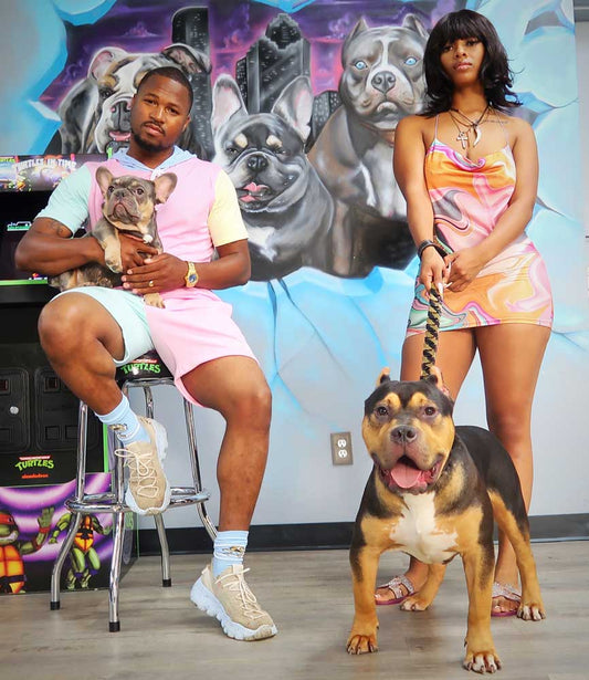 Ultra Class Family: XL American Bully Breeder in Texas