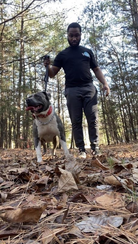 Worldwide Kennel: American Bully Breeder in South Carolina