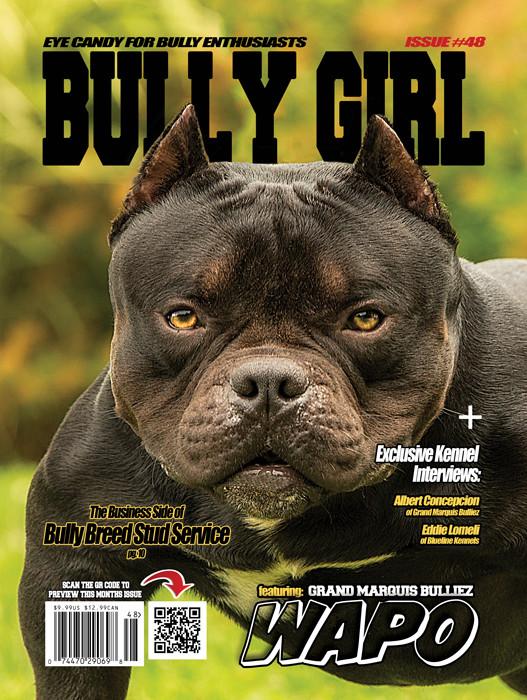 Bully Girl - Digital Issue 48 - BGM Warehouse - The Best Bully Breed Magazines, Clothing and Accessories