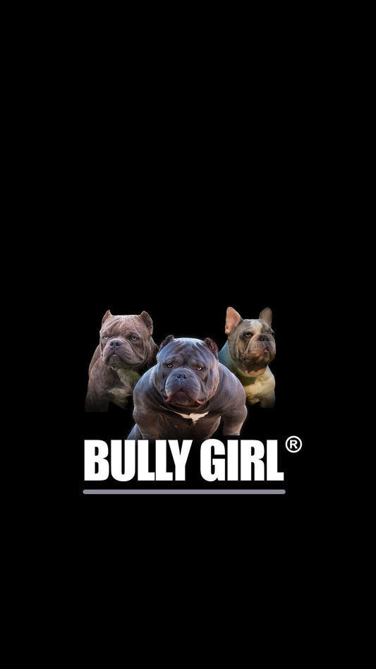 Bully Girl - Anniversary 7 Cover Dogs Mobile Wallpaper - BGM Warehouse - The Best Bully Breed Magazines, Clothing and Accessories