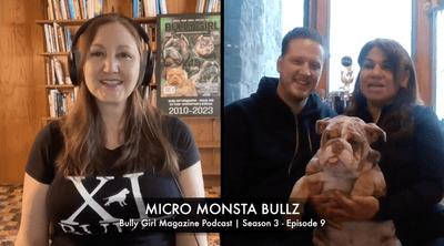 Bully Girl Magazine Podcast: S3 - E9 | Exotic Mini English Bulldogs with Micro Monsta Bullz