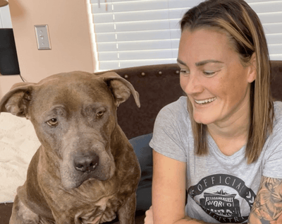 Breaking Barriers: Innovative Approaches to American Bully Dog Training