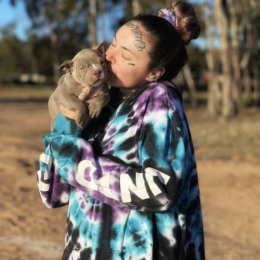 Adorabull Kennels: Where Every American Bully for Sale is Bred with Passion