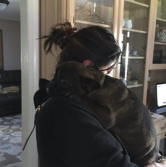 Adopt, Don't Shop: Alex's Story of Rescuing and Rehabilitating French Bulldogs