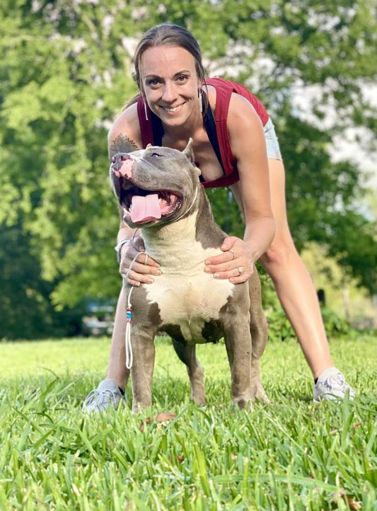 Archangel Bullies | XL American Bully Breeder in Texas