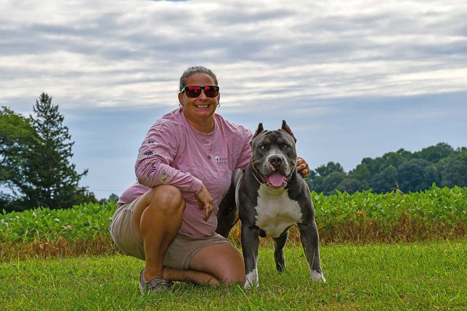 Back Creek Bullies XL American Bully Breeder in Delaware BGM Warehouse