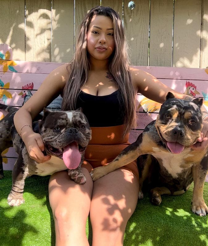 Badbaby Kennels: Family-Friendly Pocket and Micro American Bullies