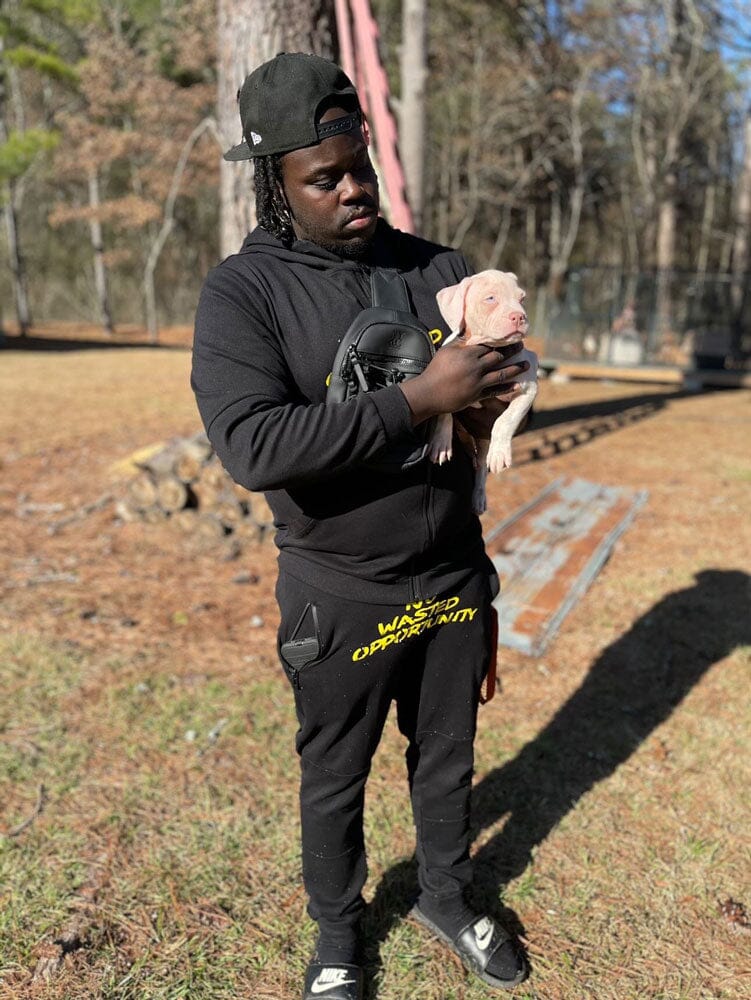 Big Band Kennels: XL American Bully Breeder in Alabama