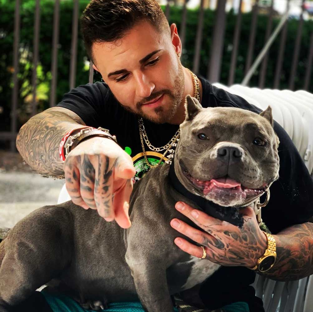 Come Correct Bullys: Micro American Bully Breeder in Massachusetts