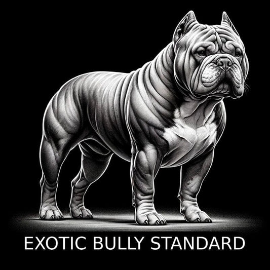 Exotic Bully Standards Explained: Size, Height, and More - BGM Warehouse