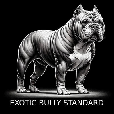 Exotic Bully Standards Explained: Size, Height, and More