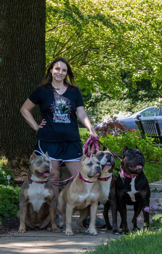 Heart & Soul Bullies: XL American Bully Breeder in Maryland