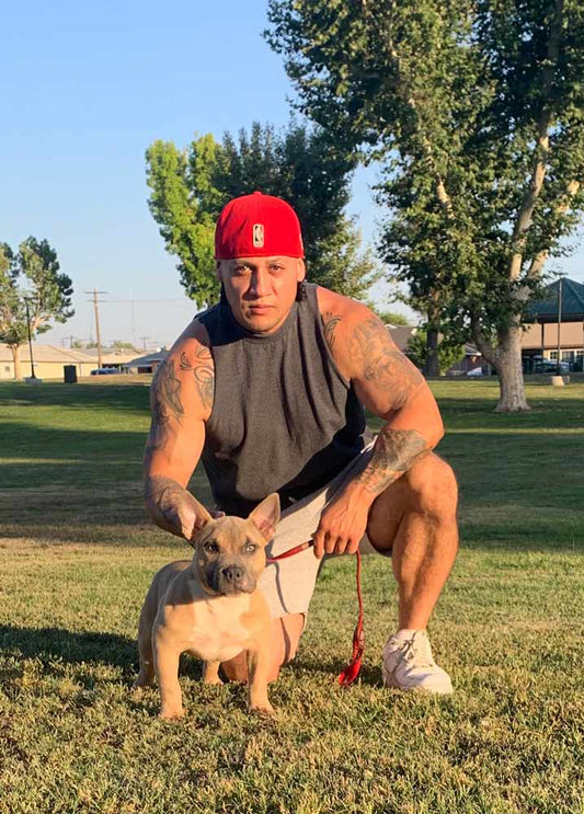 American Bully Breeding: The Story of HillSideBullyz Kennel