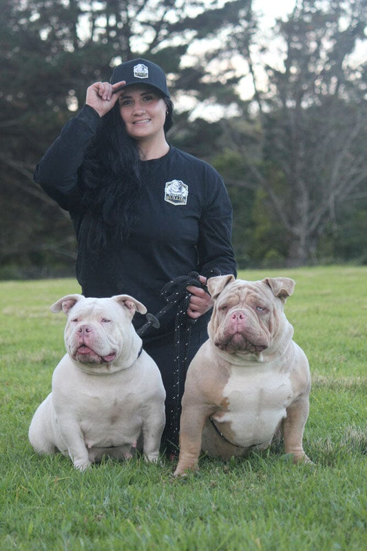 Mountain Bullies: Pocket American Bully Breeder in Australia