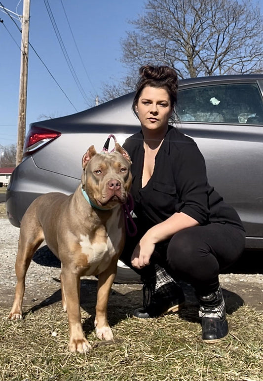 Mythic Bull Kennels: XL American Bully Breeder in Ohio