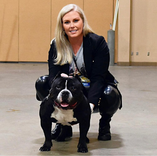 NV Kennels: Standard and XL American Bully Breeder in Maryland