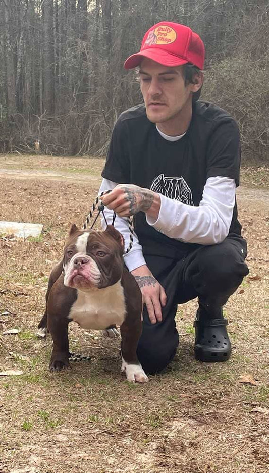 Outlawz Bully Kennel: Micro and Pocket Bully Breeder in South Carolina