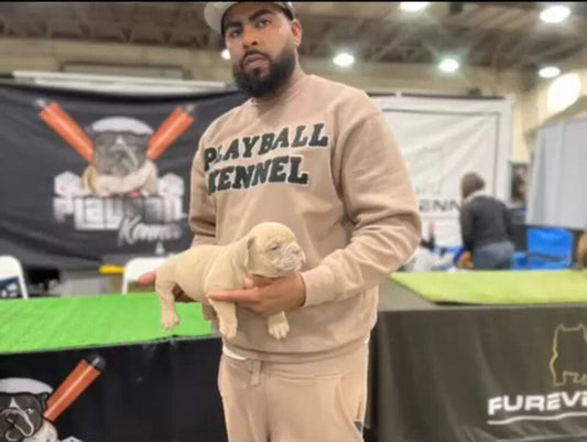 PlayBall Kennels, LLC: Exotic Bully Breeder in California