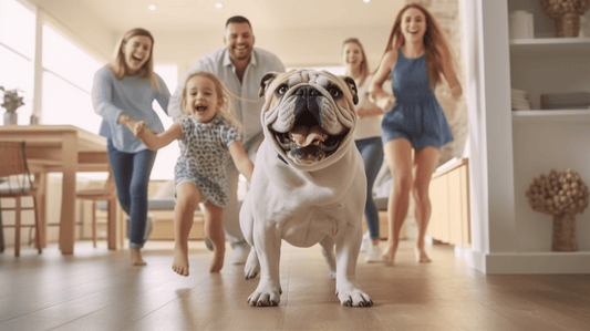 Purchasing a Bully Breed Puppy: A Comprehensive Guide