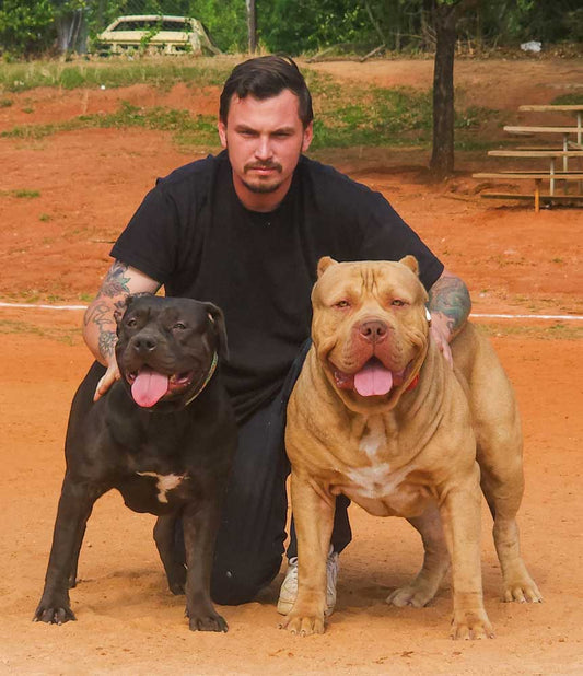 PYP Bullies: XL American Bully Breeder in Georgia
