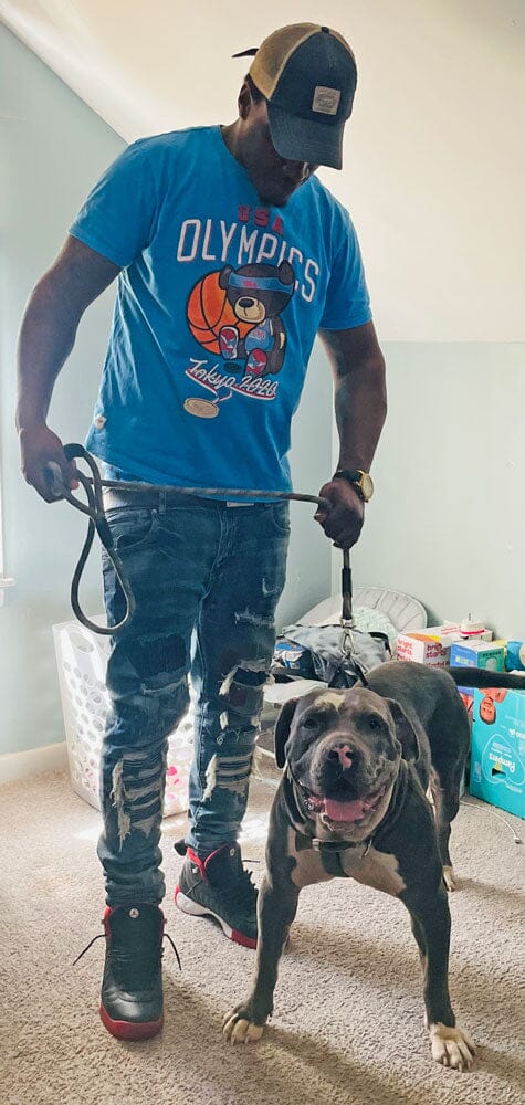 Redline Kennel: XL, Pocket & Exotic Bully Breeder in Chicago, IL